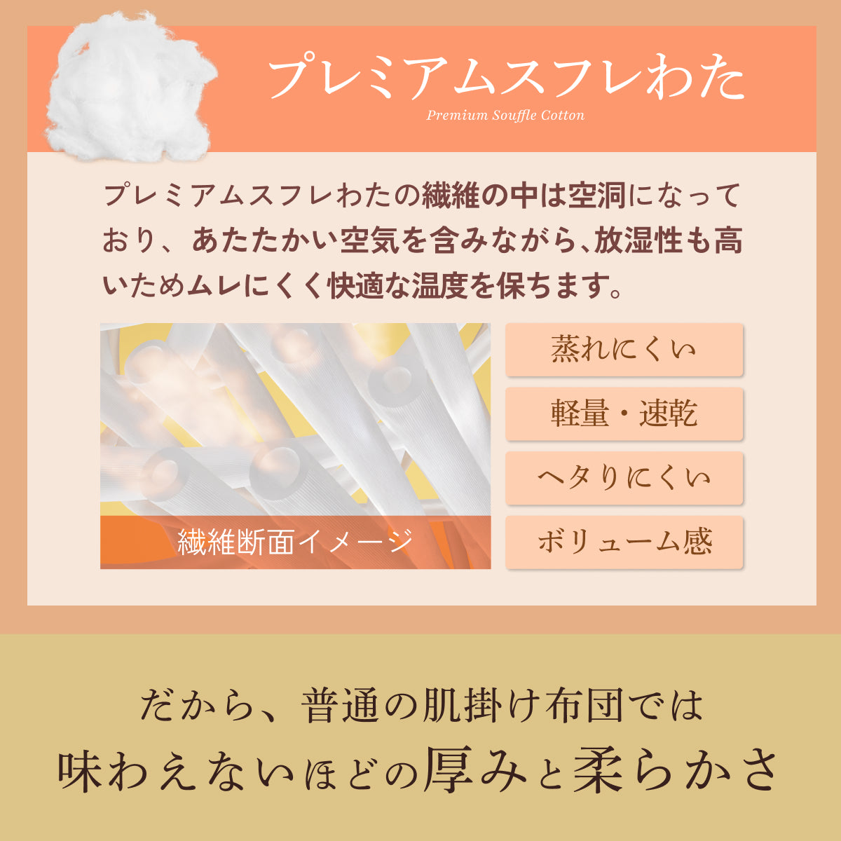 【もっちりしっとり まるでスフレな肌触り とろける寝心地】もちスフレ肌掛け布団