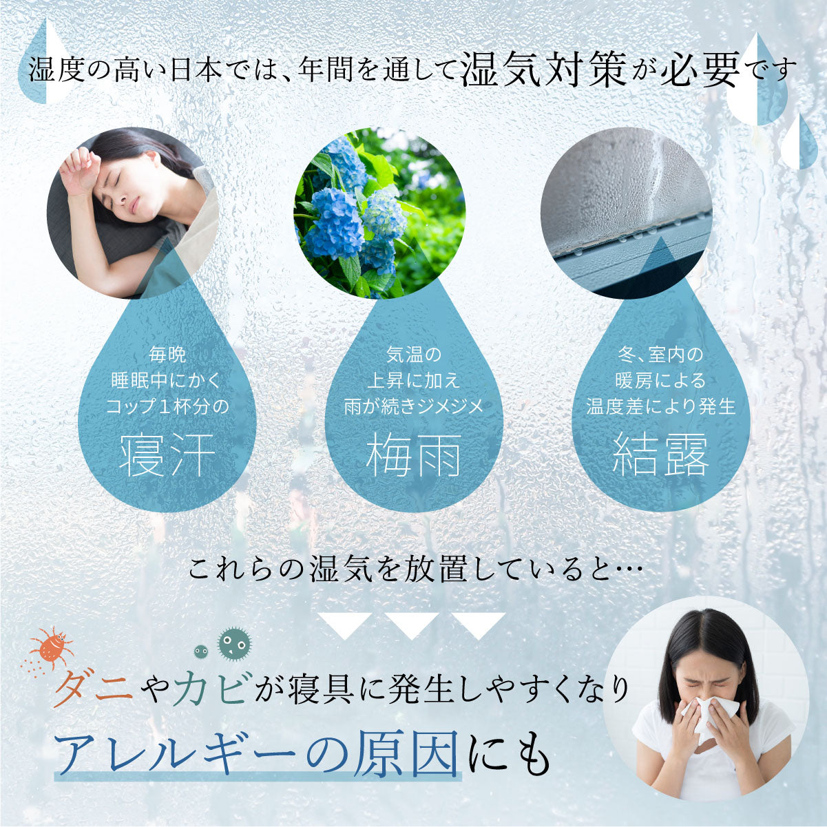 【敷くだけ簡単 湿気対策】プレミアム除湿シート