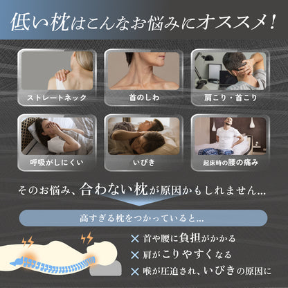 【枕がいらない人のための枕®】天使のわたもこローピローNEO