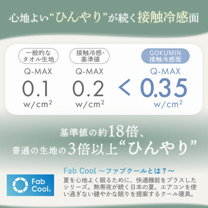 【ゴムバンドで着脱簡単！】オールシーズンリバーシブル枕パッド2枚セット